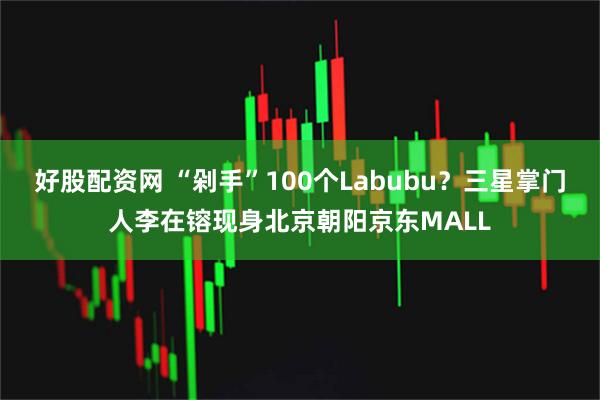 好股配资网 “剁手”100个Labubu？三星掌门人李在镕现身北京朝阳京东MALL